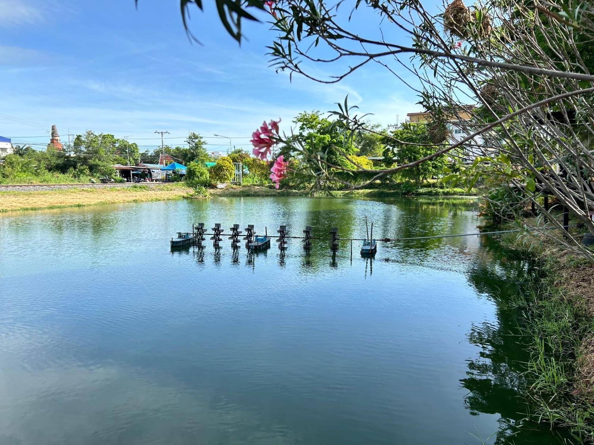 Dd Boutique Resort Ban Wat Pa Exteriör bild